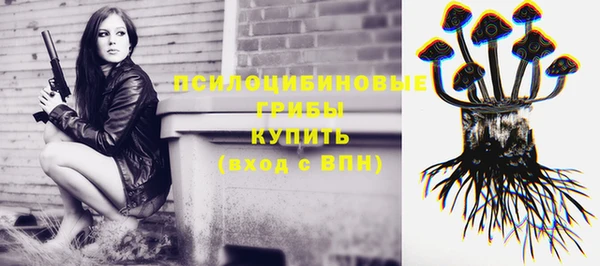 метадон Абаза